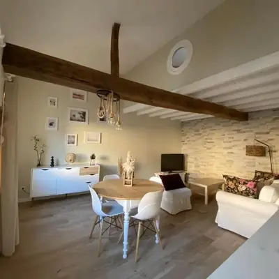 Charmant appartement centre ville de Castres