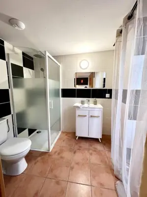 a bathroom with a toilet and a shower and a sink at Les chambres de la bastide - 203 in Carcassonne