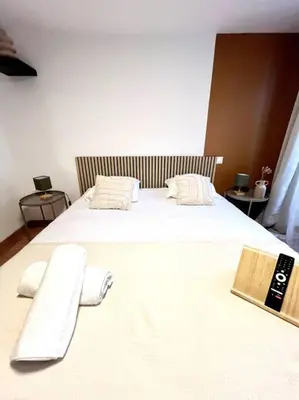 a large white bed in a room with two pillows at Les chambres de la bastide - 205 in Carcassonne