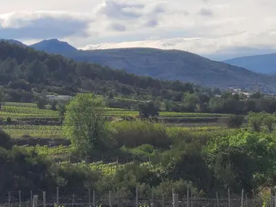 a view of a field with mountains in the background at Camping Nysa Paziols in Paziols