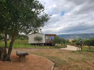 a house in a field with a tree and a bench at Camping Nysa Paziols in Paziols