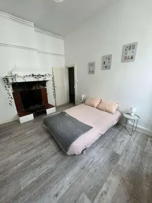 a white room with a bed and a fireplace at Appartement in Limoux