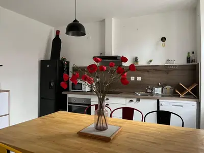 a vase of red flowers sitting on a table in a kitchen at La maison du pont vieux - emplacement de parking gratuit - Proche Cité médiévale in Carcassonne