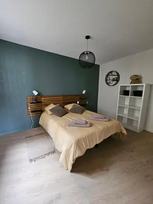 a bedroom with a large bed in a room at Appartement proche des Halles in Narbonne