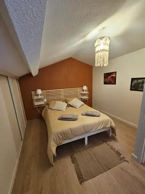 a bedroom with a large bed with a chandelier at Appartement proche des Halles in Narbonne