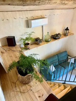 a living room with a blue couch and potted plants at le gîte du Cantou in Lautrec