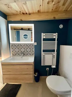 a bathroom with a sink and a toilet at le gîte du Cantou in Lautrec
