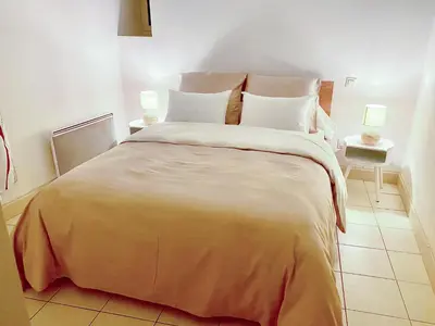 a bedroom with a large bed with two lamps at T3 situé près de la Place Carnot in Carcassone