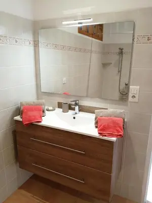 a bathroom with a sink and a mirror at GITE CHEZ JULES ET ODETTE in Comigne