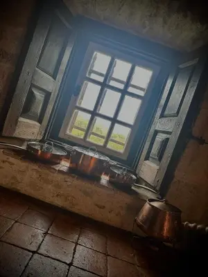 a view of a kitchen from a wrought iron fence at Le Domaine de Pépé in Saint-Julien-de-Briola