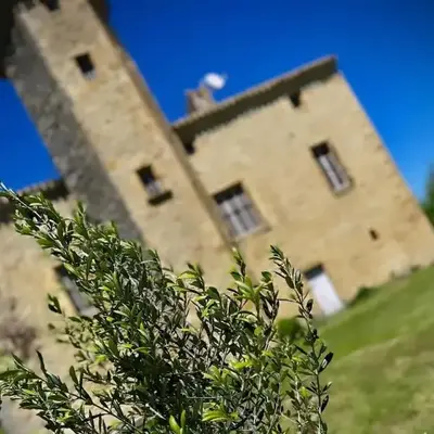 Le Domaine de Pépé