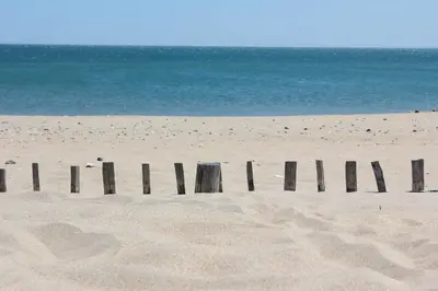 a row of wooden posts in the sand on a beach at Château de la Motte - Entre Narbonne et le Canal du Midi in Marcorignan