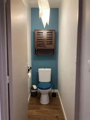 a bathroom with a toilet with a blue wall at La tranquillité en centre-ville avec terrasse in Limoux