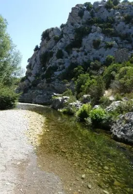 a river with a mountain in the background at Le Careyrou in Paziols