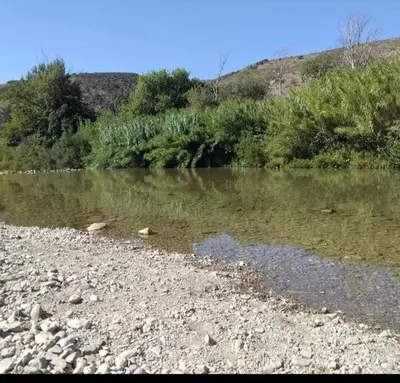 a river with a rocky shore with trees and bushes at Le Careyrou in Paziols