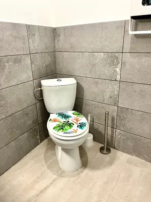 a bathroom with a toilet with a decorated seat at 