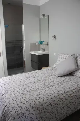 a bedroom with a bed and a sink at T2 Gautier proche Cité Médiévale parking privé in Carcassonne
