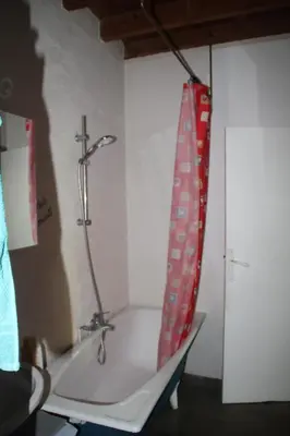 a bath tub with a shower in a room at Chez Didier 1 in Saint-Michel-de-Lanès