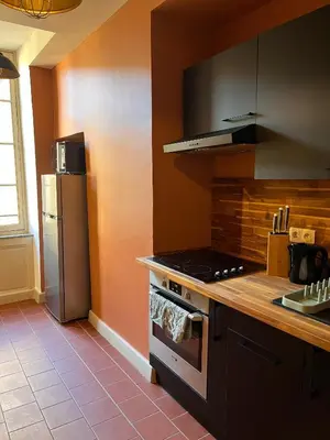 a kitchen with a stove and a refrigerator at La Cité Voltaire in Carcassonne