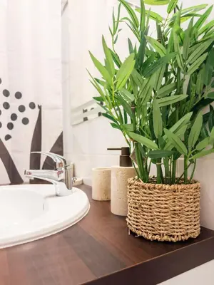a bathroom with a plant in a basket next to a sink at La Cité Voltaire in Carcassonne