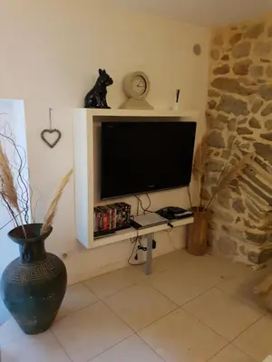 a television with a cat sitting on top of it at La Félicita - Gîte de charme proche de Narbonne in Moussan