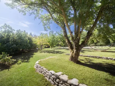 a tree in a field with a stone wall at Domaine des Périès - Chambres d'hôtes in Saint-Martin-Lalande