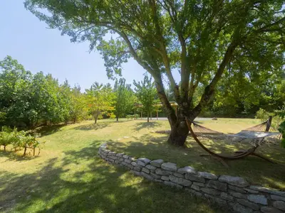 a hammock under a tree next to a stone wall at Domaine des Périès - Chambres d'hôtes in Saint-Martin-Lalande