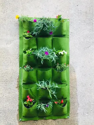 a green vertical planter with plants on a wall at Anna's gîte in Lagrasse