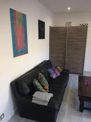 a black leather couch with pillows in a living room at Anna's gîte in Lagrasse