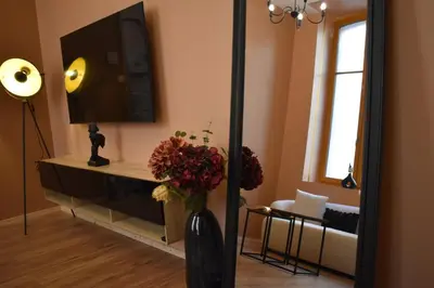 a living room with a television and a vase with flowers at La République d'Emmanuel in Carcassonne