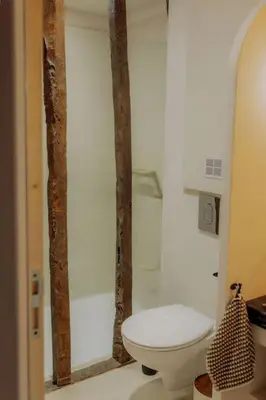 a white bathroom with a toilet and a shower at Pausette in Fanjeaux