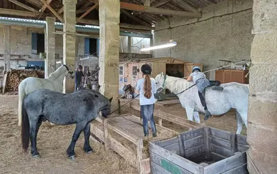 a group of people with horses in a barn at Mobilhome Ferme équestre La Mouillère in Chalabre