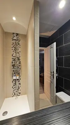 a bathroom with a walk in shower and a toilet at Appartement PETIT SAINT GIMER in Carcassonne