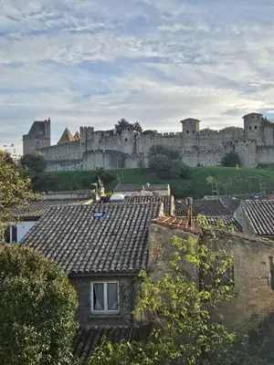 a view of a castle with buildings in the background at Vue Cité Médiévale Castel View in Carcassonne