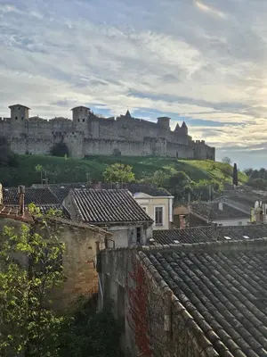 a castle on top of a hill with buildings at Vue Cité Médiévale Castel View in Carcassonne