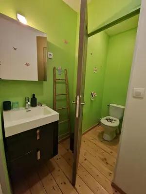 a green bathroom with a sink and a toilet at L'escapade colorée anciennement La Vieille Forge in Rieux-Minervois