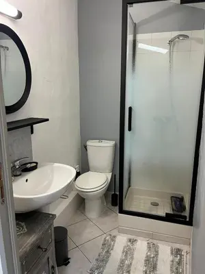 a bathroom with a shower and a toilet and a sink at Le Segarius superbe maison médiévale Internet WiFi gratuit Climatisation Jardin in Puisserguier