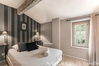 a bedroom with a bed and a window at Les Bellevue Cité Trivalle 