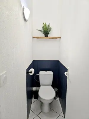 a bathroom with a toilet and a plant on a shelf at Tour Est - T2 entre Cité Médiévale et Bastide in Carcassonne