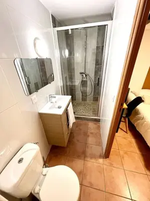 a bathroom with a toilet and a shower and a sink at Les chambres de la bastide - 201 in Carcassonne