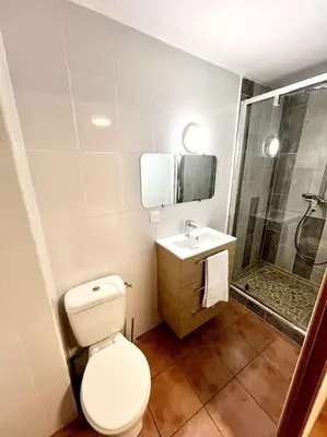 a bathroom with a toilet and a shower and a sink at Les chambres de la bastide - 201 in Carcassonne