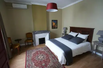 a bedroom with a large bed and a fireplace at Carcassonne Guesthouse in Carcassonne