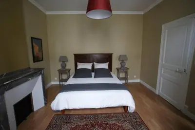 a bedroom with a large bed and a fireplace at Carcassonne Guesthouse in Carcassonne