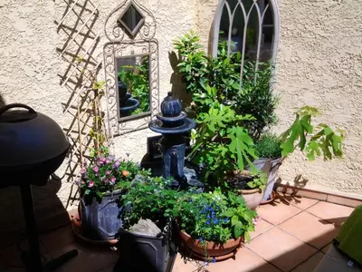 a group of potted plants sitting next to a fire hydrant at Maison intime à Pouzols-Minervois avec jardin et parking in Pouzols-Minervois