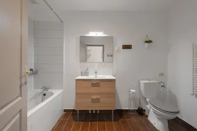 a bathroom with a toilet and a sink and a tub at Spacieux T2 au centre ville avec parking et climatisation in Carcassonne