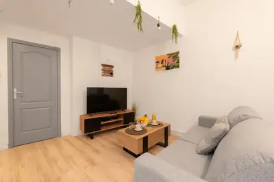 a living room with a couch and a tv at Spacieux T2 au centre ville avec parking et climatisation in Carcassonne