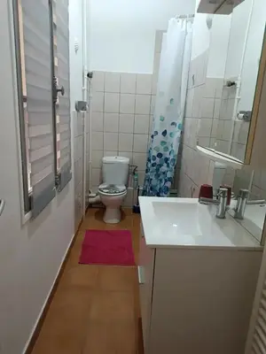a bathroom with a white sink and a toilet at Appartement spacieux à Lézignan-Corbières de 75 m² in Lézignan-Corbières