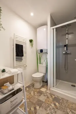a bathroom with a toilet and a shower stall at Le Boréal - Studio Confort Lit Queen Size in Mazamet