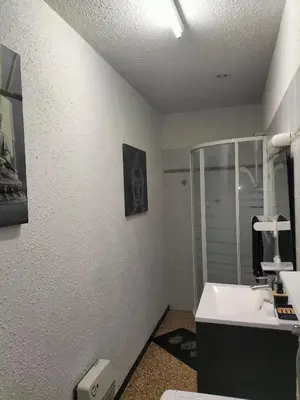 a bathroom with a toilet and a sink and a shower at Le petit paradis in Saint-Pons-de-Thomières