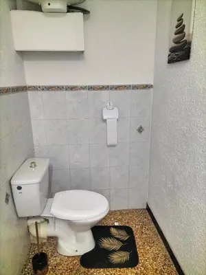 a bathroom with a white toilet in a room at Le petit paradis in Saint-Pons-de-Thomières
